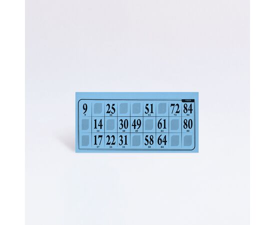 Lottokarten 14,5 x 7,2 cm - plastifiziert (100 Stück), Modell 6001 / Cartons de loto 14,5 x 7,2 cm - plastifiés (100 pièces), modèle 6001