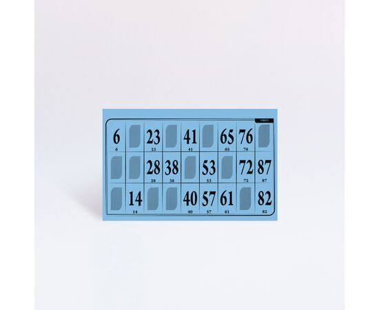 Lottokarten Grossformat 19,2 x 9,6 cm (100 Stück), Modell 6008 / Cartons de loto grand format 19,2 x 9,6 cm (100 pièces), modèle 6008